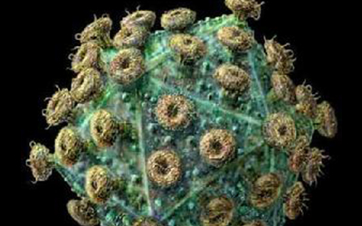 Cellhost＆microbe：唤醒休眠HIV病毒再一举歼灭