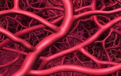 3D打印人造血管技术获重大突破 可打印仅20微米厚血管