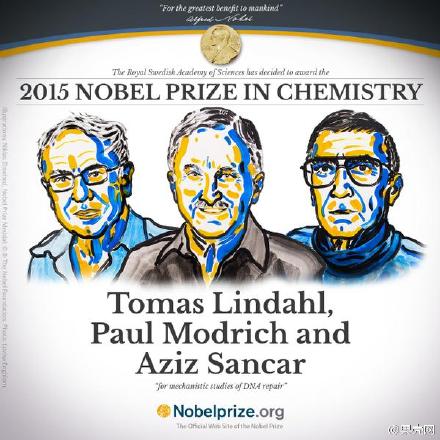 三位科学家因DNA修复研究获2015年诺贝尔化学奖