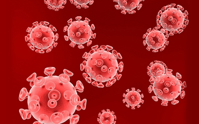 Cell子刊：HIV研究大多搞错了对象？
