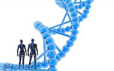 人类基因组计划25年：为众多大科学项目带来六大启示