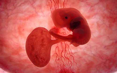 新生儿是一位20岁的冷冻胚胎