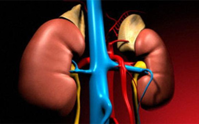 血液检测可提前5年预测肾脏疾病