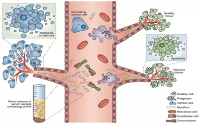 循环肿瘤细胞CTC的相关数据，你知道多少？