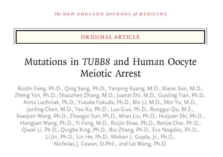 TUBB8 基因突变致人类卵子减数分裂阻滞