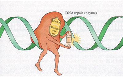 生物狗才能看懂的情书