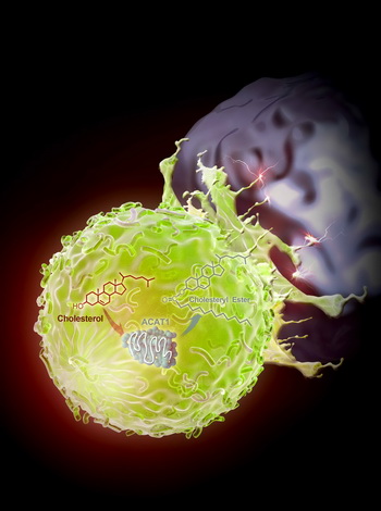 中国科学家发现提高T细胞抗肿瘤免疫功能新方法