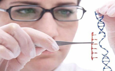 基因编辑工具CRISPR“动物园”欢迎你