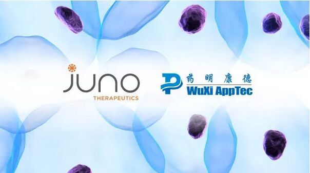 Juno与药明康德建立新公司，在华开发创新癌症细胞免疫疗法