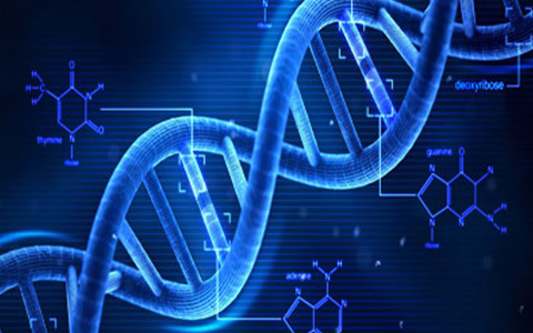 新技术首次将数码照片存入DNA 信息保存数个世纪