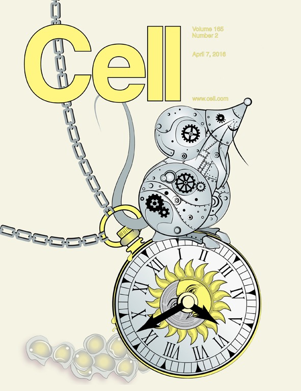 Cell封面故事：癌症的定时炸弹