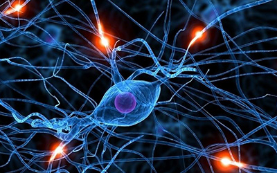 英国科学家证实致幻剂LSD对人类大脑神经元放电的影响 