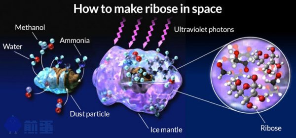 生命好复杂：RNA 的「R」可在太空自然形成？