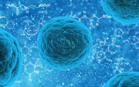干细胞研究新成果：拔毛变人的神话成为可能