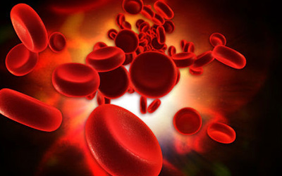 【科普】血细胞的发育与生成