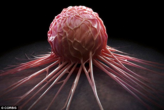 里程碑！Nature& Nature Com最新发布与乳腺癌相关的93个基因、12类体细胞突变