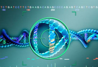 新华社：中国学者研发出国际一流基因编辑技术