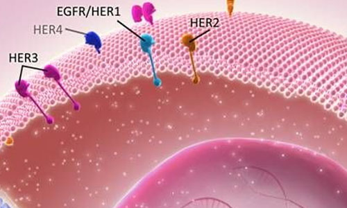 HR+/HER2-乳腺癌治疗现状