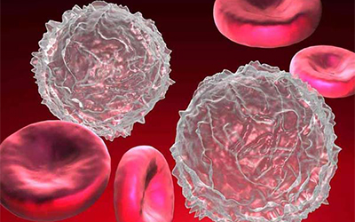 Blood：什么让白血病死灰复燃？