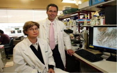 澳研究发现抑基因突变新药 有助女性预防乳癌