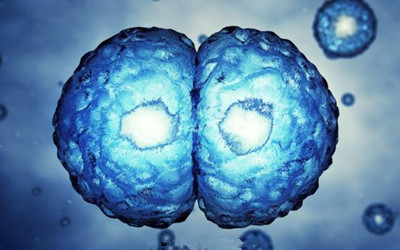 科学家提出癌症进化疗法：利用癌细胞自相残杀