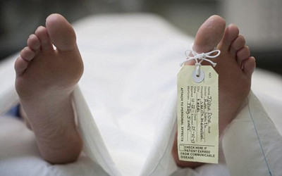 动物死后仍有基因保持活跃状态：多数死亡半小时后活动