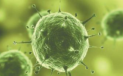 PLOS ONE：神秘病毒通过唾液传播，导致女性不孕