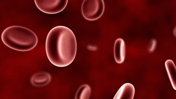 【科技前瞻】Stem Cells新研究揭示治疗性干细胞离开血管的新机制