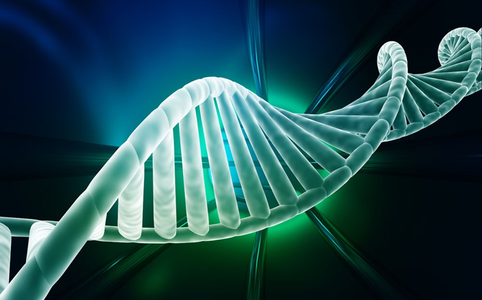 Nature：CRISPR-Cpf1识别目标DNA的独特机制