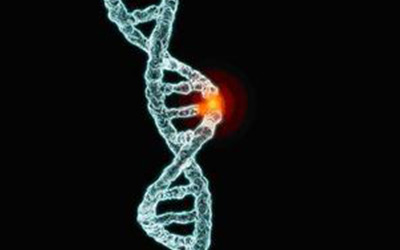 全基因组测序，把你身体里的疾病都扼杀在摇篮里！