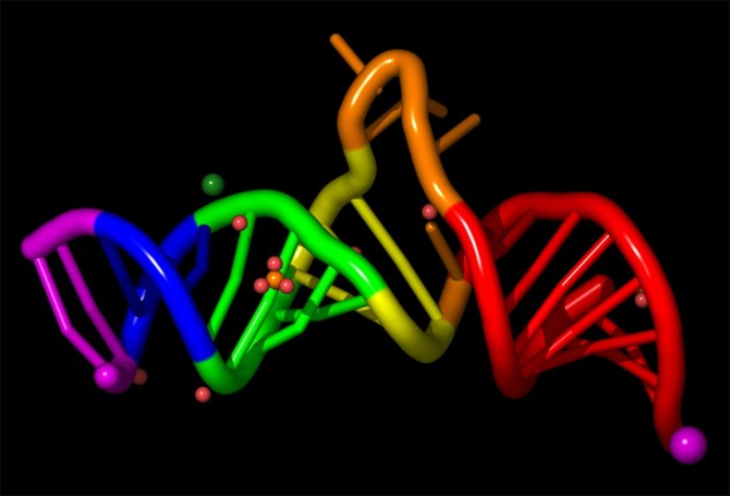 【2016新学期促销】circRNA芯片4799加送分析!