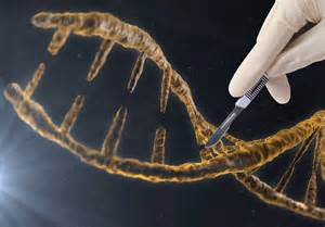 基因魔剪“CRISPR / Cas9”可灭活引发癌症的突变基因！