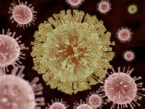 寨卡病毒基因测序完成，未来亚洲非洲可能有20亿人感染