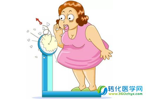 肥胖的进化机制研究取得新进展