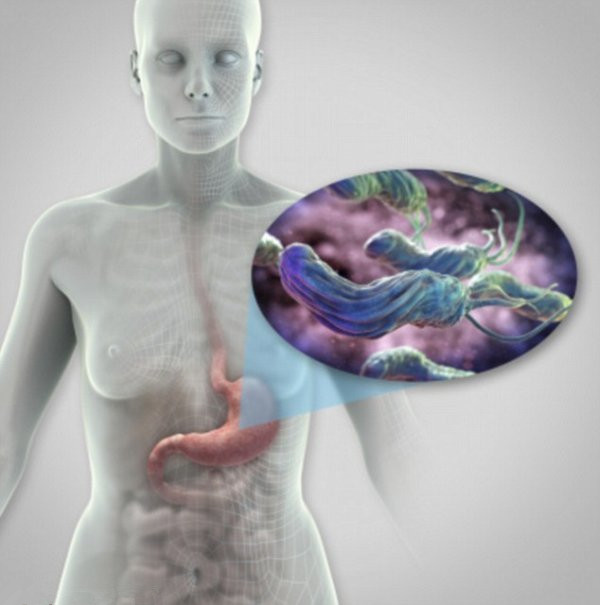 Nature子刊：肠道微生物告诉你你的健康状况