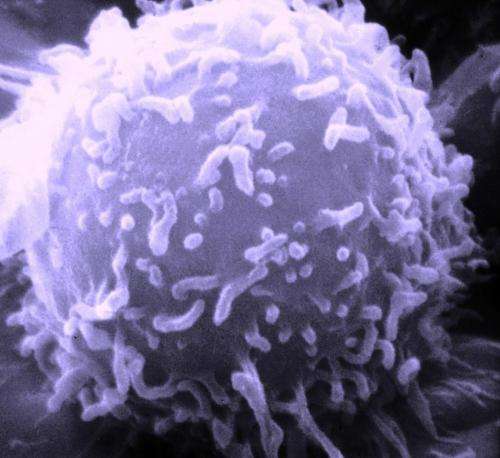 癌细胞的形状暗示着它的危险吗？