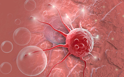两篇《PNAS》，五个关键因子：癌症免疫疗法的瓶颈