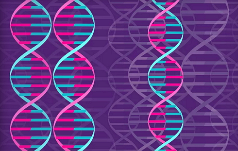 科学家：基因决定人们对体育的热爱程度