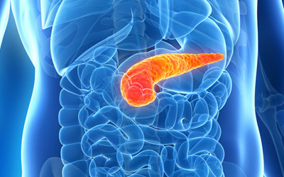 新发现为胰腺癌治疗奠定了基础