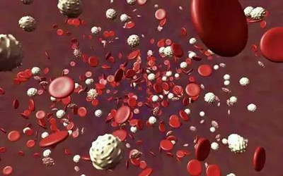 国际合作项目刊登两篇Cell分析17万人血细胞遗传差异与疾病关系
