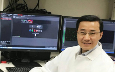 华人博士发表Cell最新成果：致死癌细胞为什么能扩散