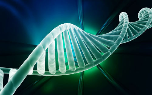 两篇Nature子刊发表基因组测序成果 为新药开发提供新线索