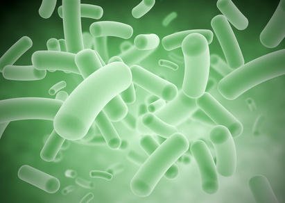 Nature子刊：想知道肠道细菌在你体内做什么？试试这个方法