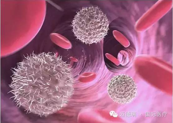 Cell发表重要研究成果：癌症免疫疗法的关键结点