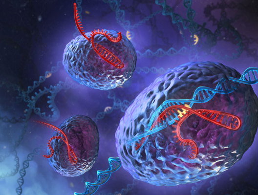 CRISPR新突破 实现简单的多重基因编辑