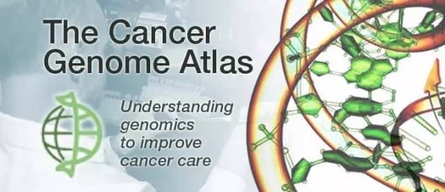 DNAnexus完成世界上最大的泛癌症数据的重分析