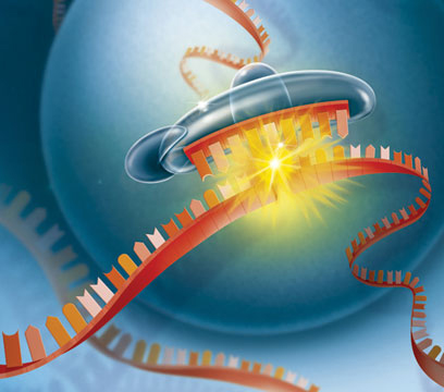 Science:魔剪CRISPR，助力非编码RNA不再“沉默”！