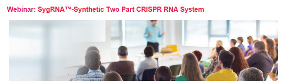 科学研究必备工具之高效基因剪刀CRISPR