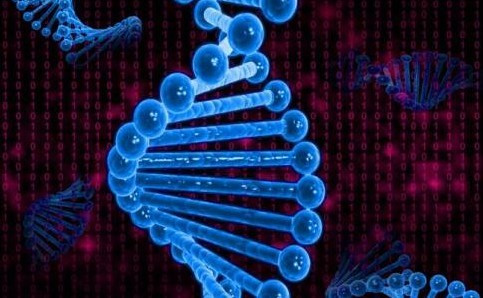 DNA计算机有望成为“配药师”