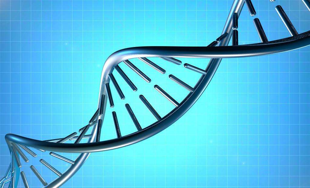 你真的了解基因检测吗？